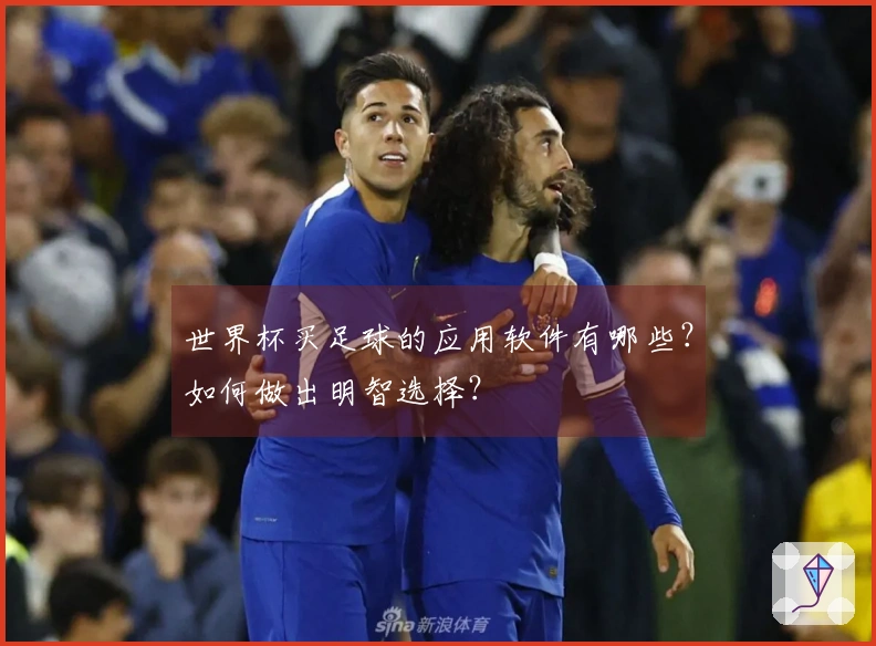 世界杯买足球的应用软件有哪些？如何做出明智选择？