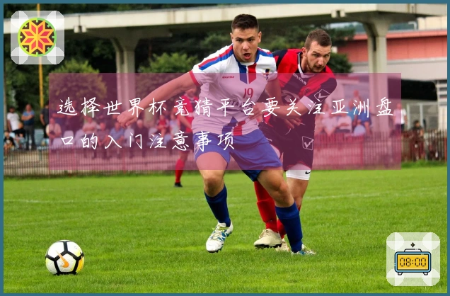 选择世界杯竞猜平台要关注亚洲盘口的入门注意事项